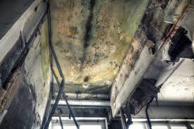 Best Mold Documentation for Insurance Claims  in Lake Hopatcong, NJ